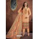 Light Orange Cambric Cotton Printed Straight Suit