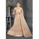 Beige Net Fancy Embroidered Lehenga Choli