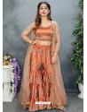 Rust Organza Embroidered Designer Suit