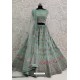 Grayish Green Net Thread Embroidered Designer Lehenga Choli