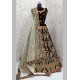 Coffee Velvet Heavy Embroidered Designer Lehenga Choli