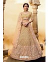 Golden Designer Soft Net Silk Wedding Lehenga Choli
