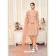 Light Orange Party Wear Designer Butterfly Net Straight Salwar Suit