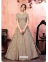 Light Brown Stylish Designer Party Wear Gown