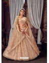 Light Beige Heavy Embroidered Designer Net Wedding Lehenga Choli