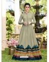 Taupe Designer Party Wear Western Gown