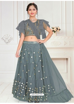 Grey Designer Net Wedding Lehenga Choli