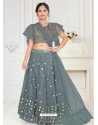 Grey Designer Net Wedding Lehenga Choli