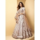 Light Grey Designer Wedding Wear Lehenga Choli