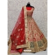 Red Designer Bridal Wear Lehenga Choli