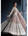 Light Brown Designer Wedding Wear Heavy Butterfly Net Lehenga Choli