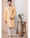 Light Orange Premium Men's Designer Indo Western Sherwani