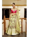 Light Yellow And Pink Premium Net With Silk Designer Lehenga Choli