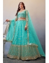 Sky Blue Premium Butterfly Net Party Wear Designer Lehenga Choli