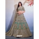 Grey Party Wear Special Designer Premium Lehenga Choli