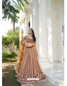 Brown Embroidery And Sequins Worked Butterfly Net Designer Lehenga Choli