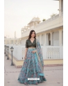 Sky Blue Embroidered And Printed Lehenga Choli