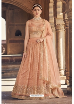 Light Orange Net Embroidered Lehenga Choli