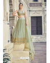 Net Embroidered Lehenga Choli In Green