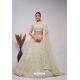 Off White Soft Net Floral Emrboidered Heavy Lehenga Choli