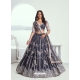 Dark Grey Butterfly Net Designer Lehenga Choli