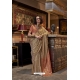 Beige Tussar Silk Traditional Party Wear Saree