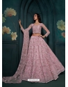 Dusty Pink Net Heavy Work Designer Lehenga Choli